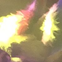 Ace of Thorns - canfurence