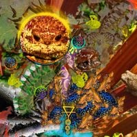 Phyllomedusa - Kalimantan Sun