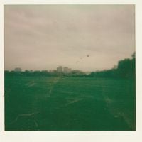 Sugar Cherry - on october fourteenth twenty twenty one i visited lake michigan and saw my own reflection staring back at me drowning in the water