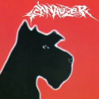 Schnauzer - When Your Bitch Is in Heat....