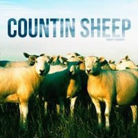BVDLVD - COUNTIN' SHEEP