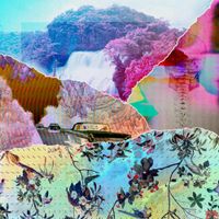 Psychedelic Ensemble. - Live at the Clinic