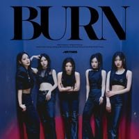 ARTMS - <BURN>