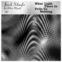Janek Schaefer - What Light There Is Tells Us Nothing