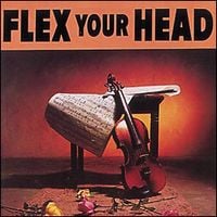 Various Artists - Flex Your Head