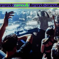 camoufly - llamando