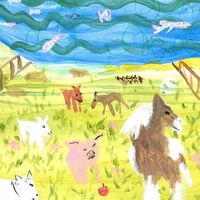 lots of hands - barnyard