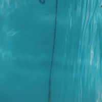 Friends In Real Life - Under Water