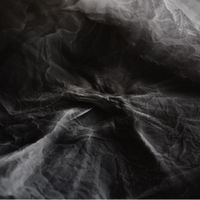 Julia Kent & Jean D.L. - The Great Lake Swallows