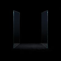Wax Fang - Mirror, Mirror