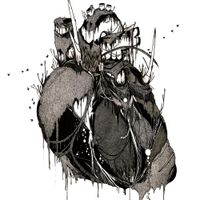 THE NOVEMBERS - Misstopia