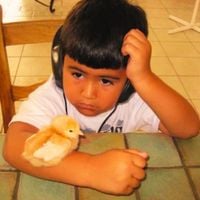 Javi Vera - SHE SAID NO