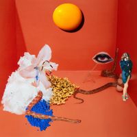 Laura Lavieri - Desastre Solar