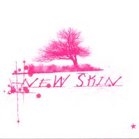 New Skin - New Skin