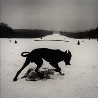 Omar Hound - Famine
