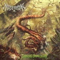 Nails Of Imposition - Surpassing Carbon Decay