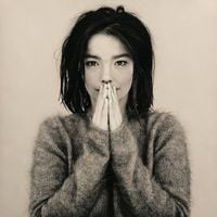 Bj&ouml;rk - Debut &bull; Surrounded