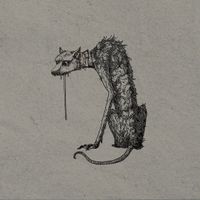 SOFIA ISELLA - Dog&rsquo;s Dinner