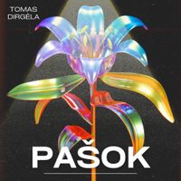 Tomas Dirgėla - Pa&scaron;ok