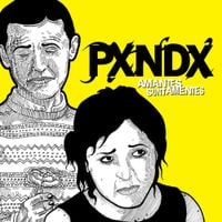 Panda - Amantes Sunt Amentes