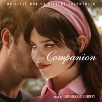 Hrishikesh Hirway - Companion