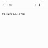 Mute Frank - It's okay to punch a nazi