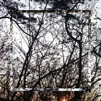 CrushingDreams - 20th Century Without You