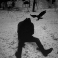 Trouvaille - Seasons In The Sun