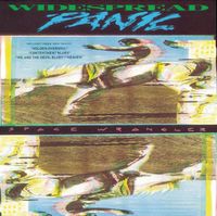 Widespread Panic - Space Wrangler