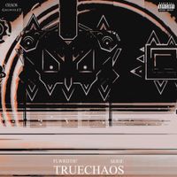 Serif. - TRUECHAOS