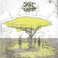 Saint Juniper - Acacia' Delight