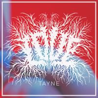 Tayne - LOVE