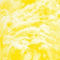 Swim Surreal - In The Half Light (Instrumentals)