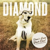 Diamond Youth - Don&rsquo;t Lose Your Cool