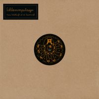 Schlammpeitziger - Meine Unterkunft ist die unvernunft