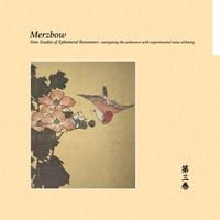 Merzbow - Nine Studies of Ephemeral Resonance Volume 3