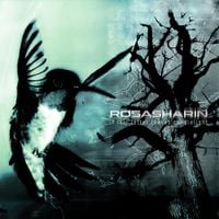 Rosasharin - If This Letter Leaves Candlelight