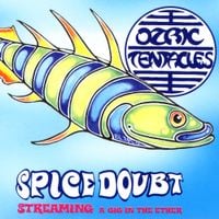 Ozric Tentacles - Spice Doubt
