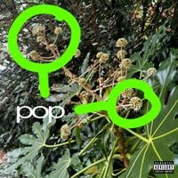 skaiwater - pop