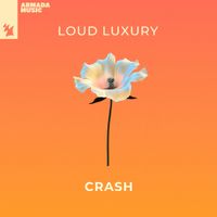 Loud Luxury - Crash