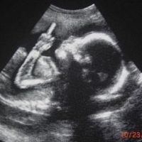 Pariahkai - Born Like Dis