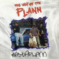 MastaPlann - The Way Of The Plann
