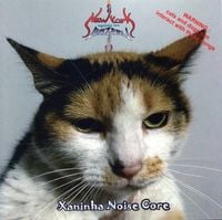 New York Against The Belzebu - Xaninha Noise Core