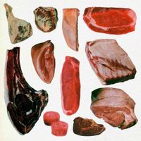 Spectacular Diagnostics - RAW GAME (Ten Year Edition)