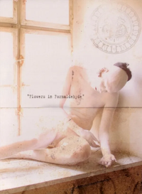 Sopor Aeternus & The Ensemble Of Shadows - Flowers in Formaldehyde