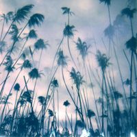 Beno&icirc;t Pioulard, Viul, From Overseas, Zak&egrave;, Marc Ertel, Wayne Robert Thomas - Koselig