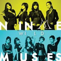 9MUSES - WILD