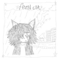 Feral Cat - feral cat shelter