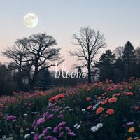 Belluna - bloom
