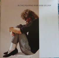 Bob Geldof - In The Pouring Rain